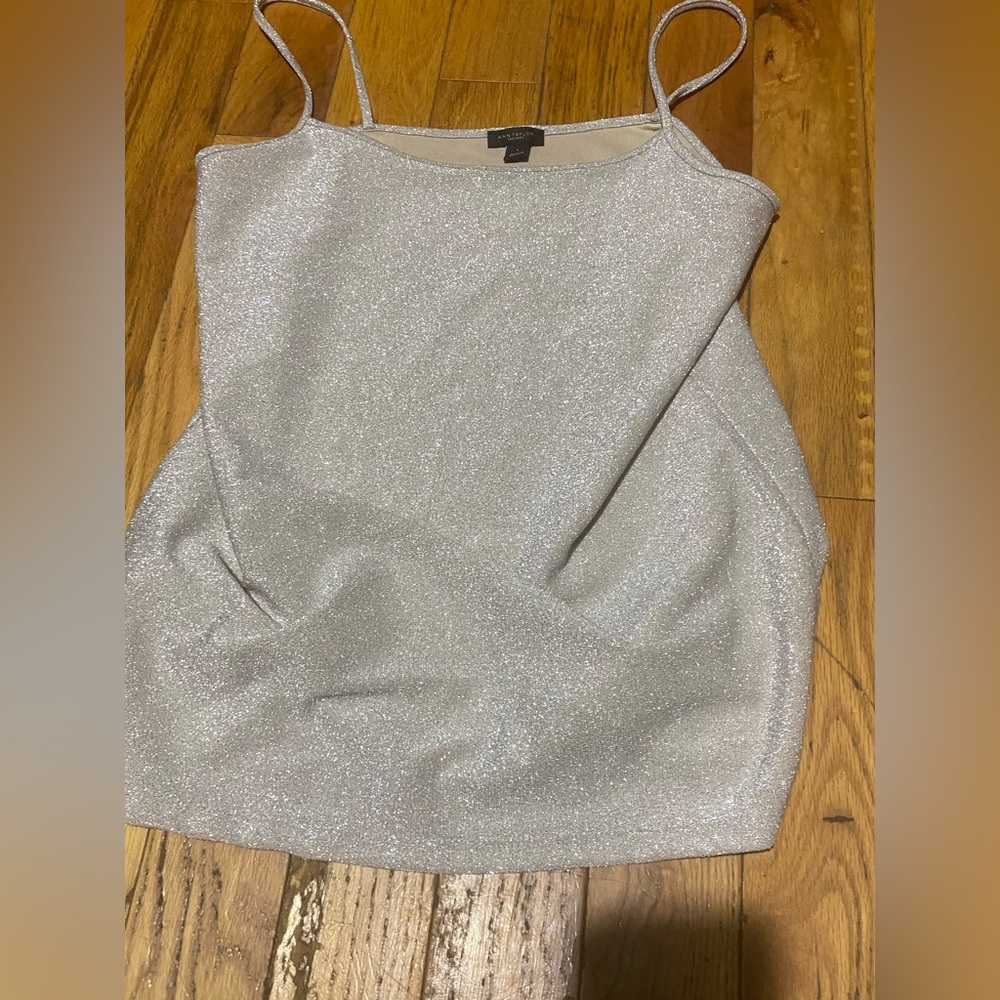 Ann Taylor Top